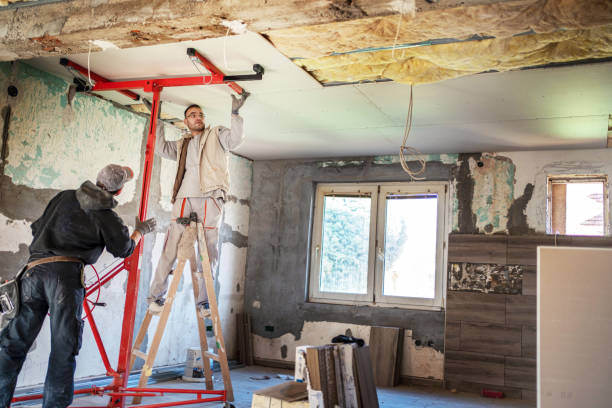 Best Residential Insulation in Laupahoehoe, HI